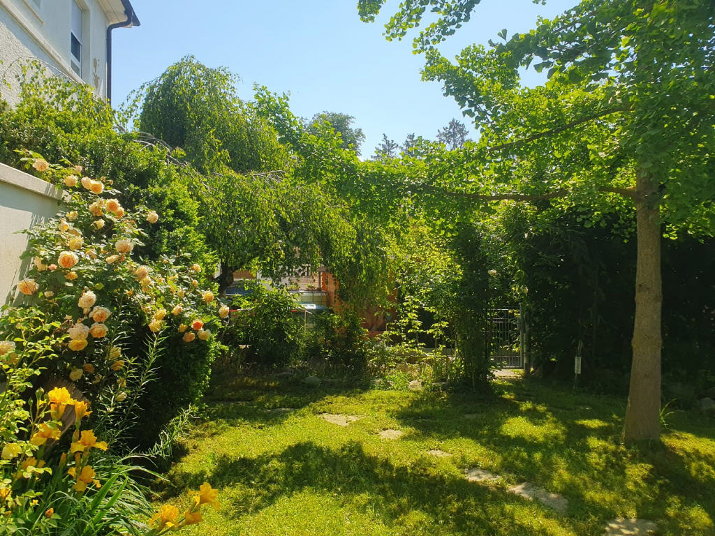 Gartengrundstück