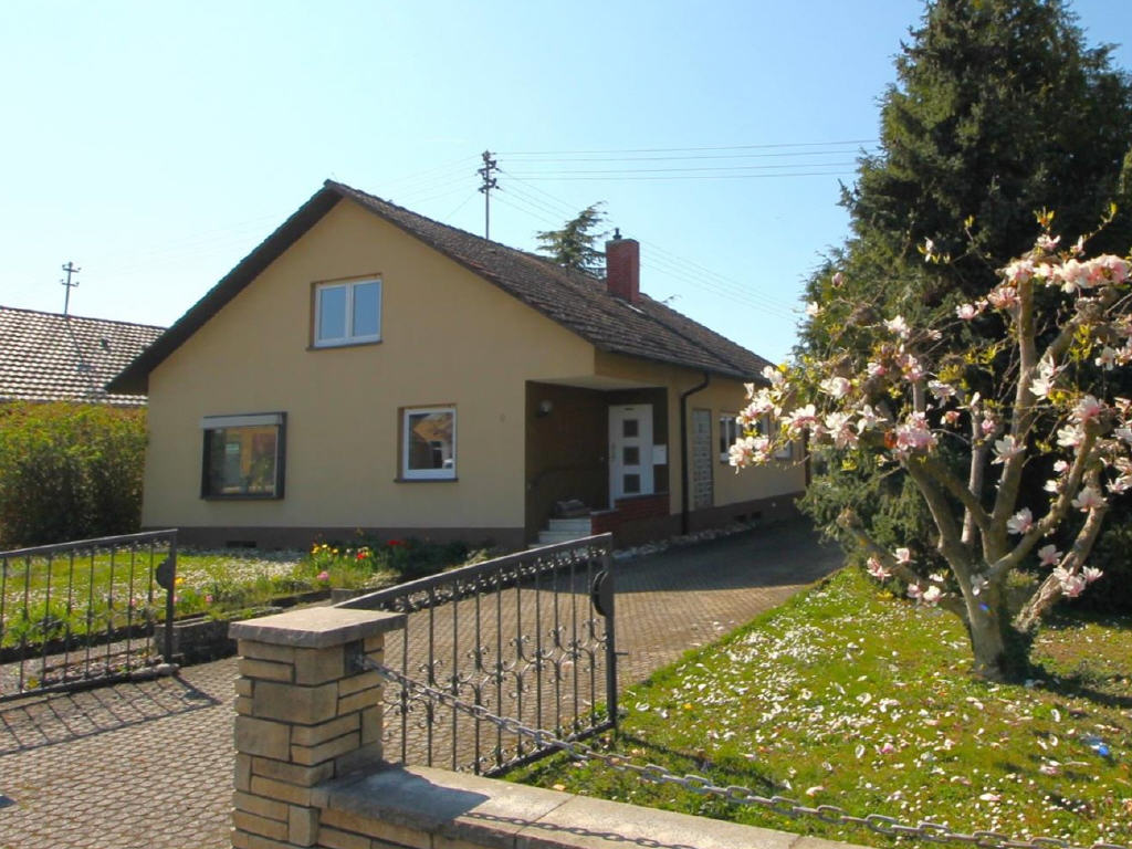 Bild1