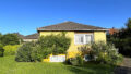Bild1