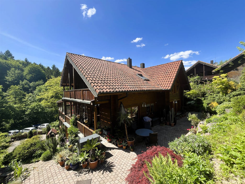 Bild1