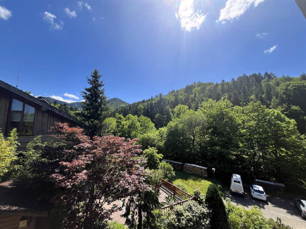 DG: Tageslicht-Badezimmer