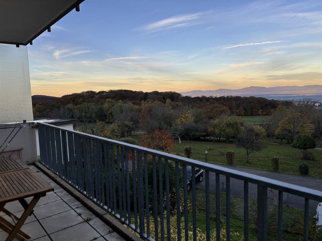 Morgenstimmung vom Balkon aus