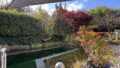 Terrasse mit Schwimmteich