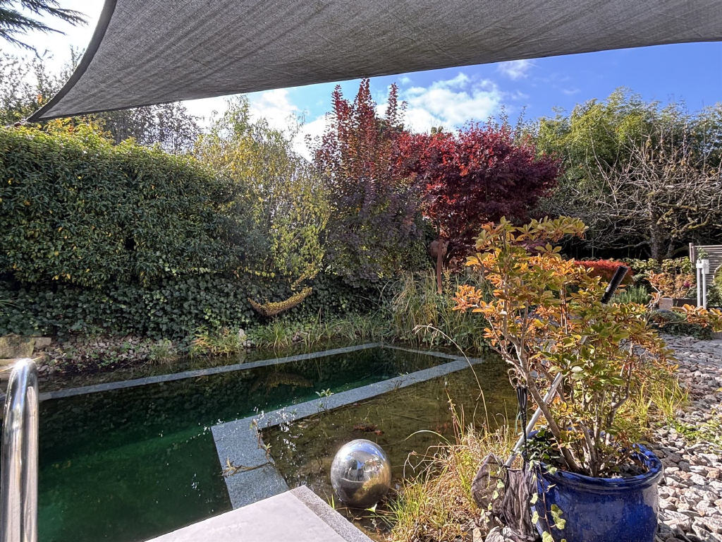 Terrasse mit Schwimmteich