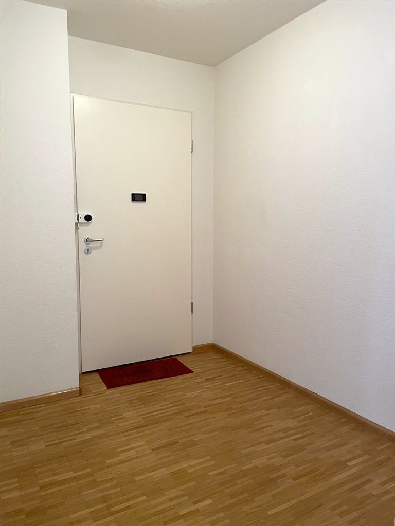 Wohnungseingang / Diele