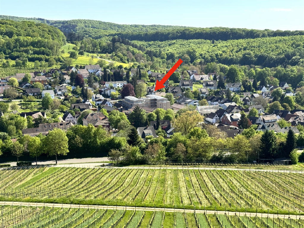 Bild1