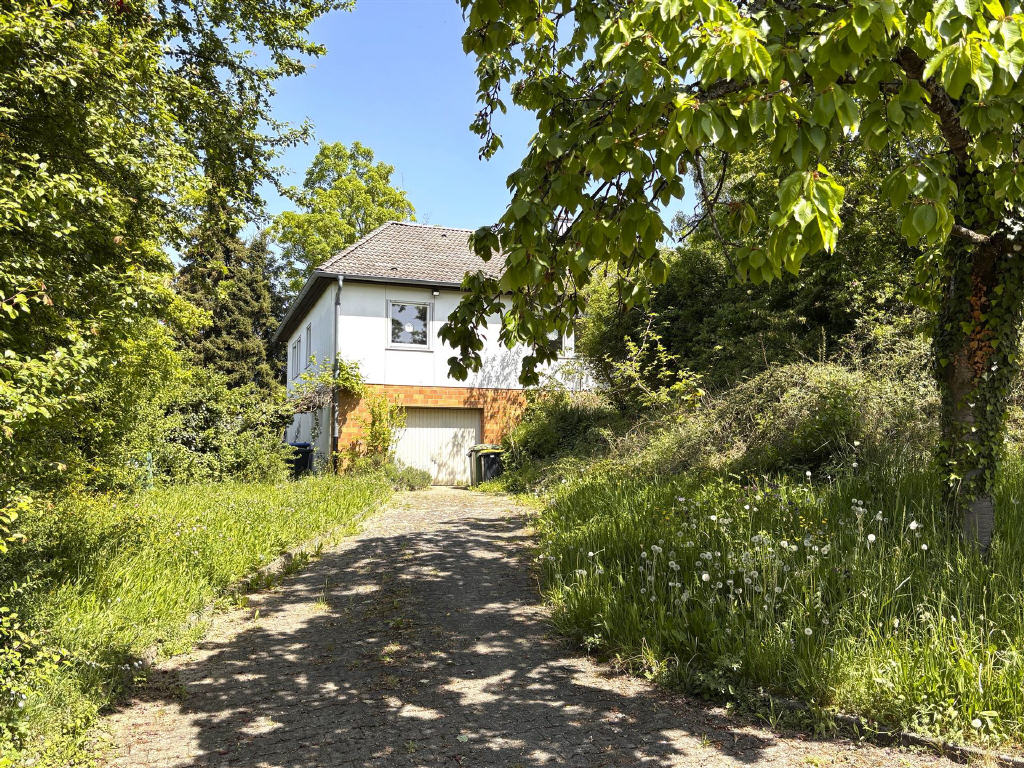 Bild1