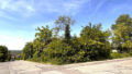 Bild3