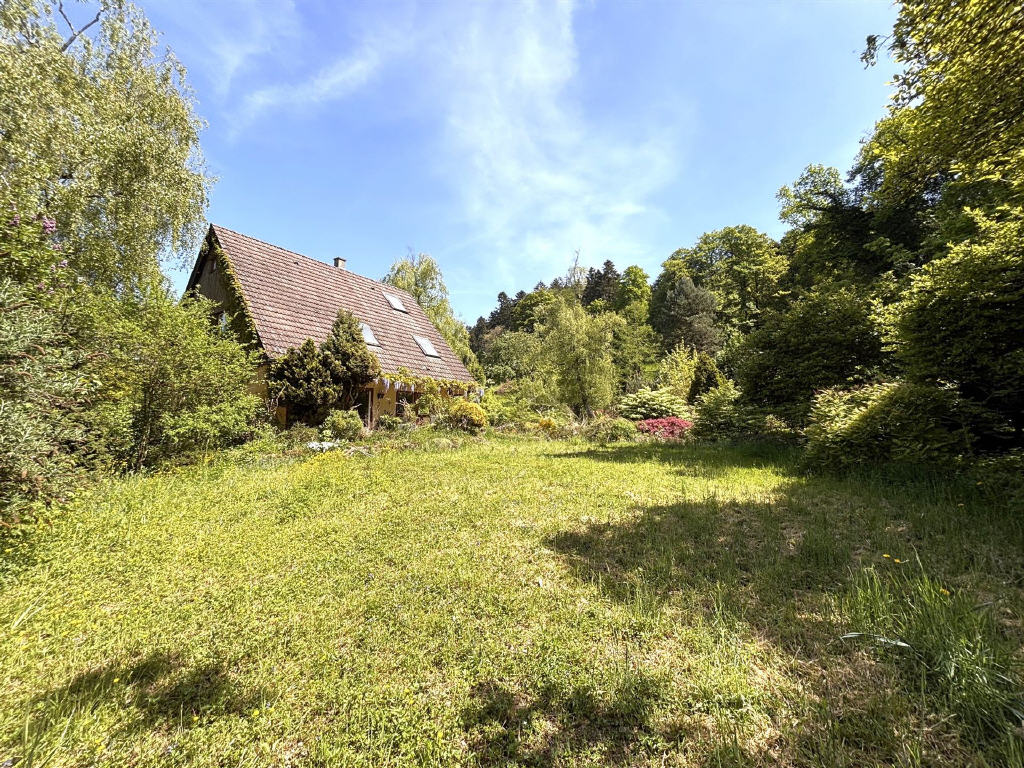 Bild2