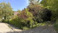 Bild4