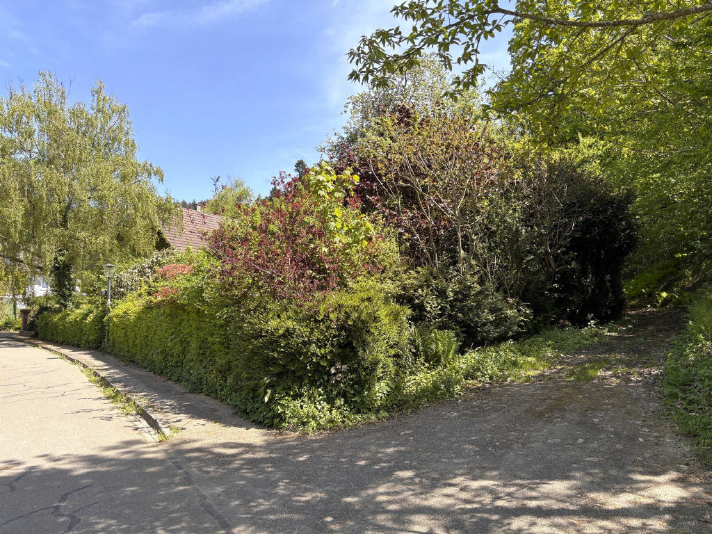 Bild4