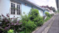 Bild1