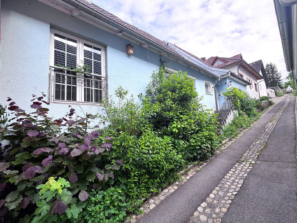 Bild1