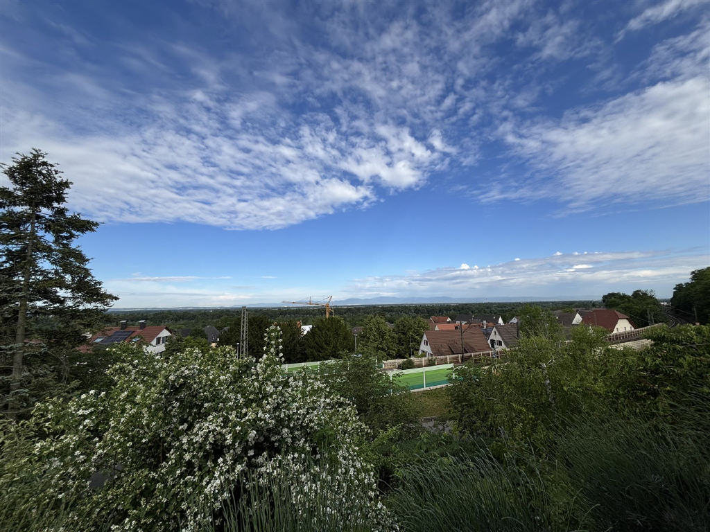 Ausblick
