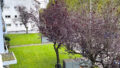Balkon mit Wetterschutzverglasung