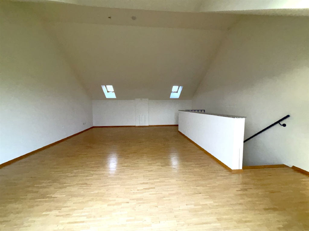DG: Studio