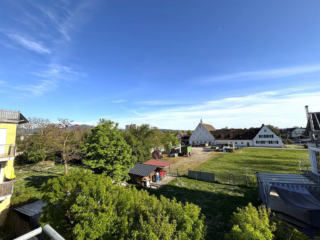 DG: Aussicht von der Dachterrasse