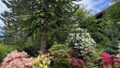 Bild4