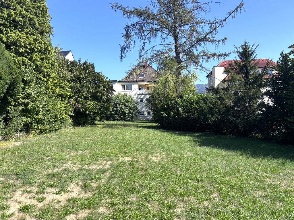 Bild1